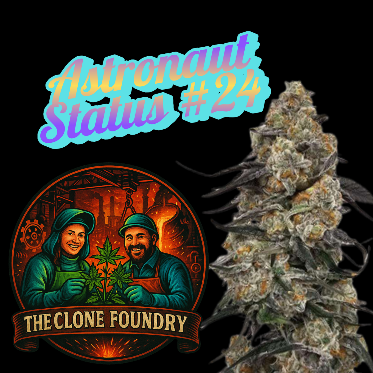 🌱 Astronaut Status #24