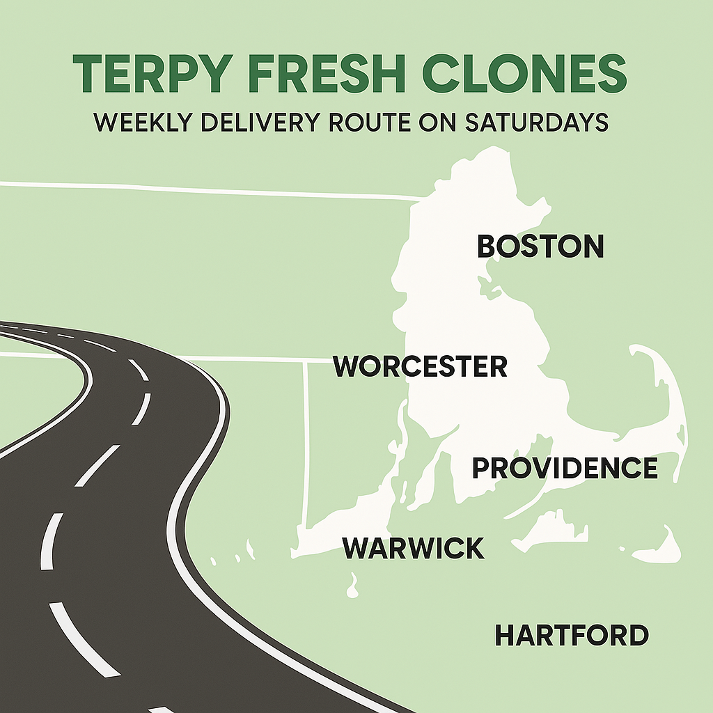 Live Clone Pickup Appointments