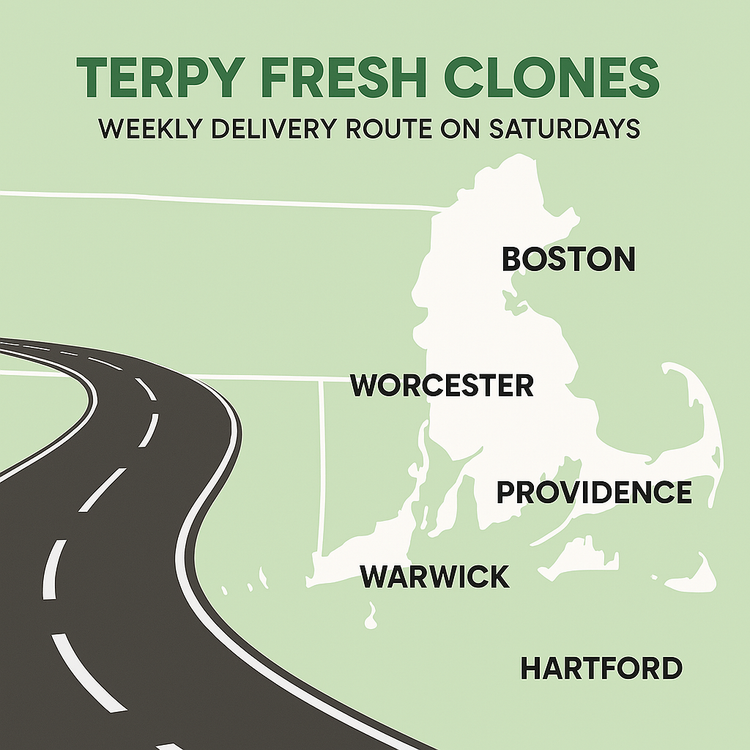 Live Clone Pickup Appointments