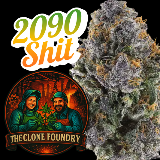🌱 2090 Shit