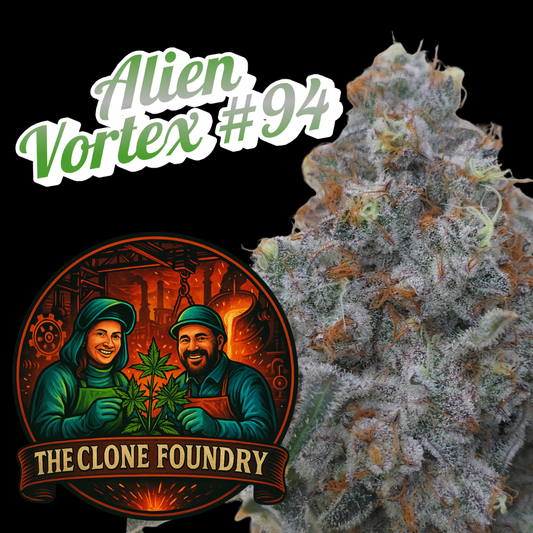 🌱 Alien Vortex #94