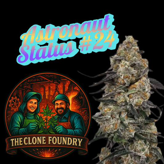 Astronaut Status #24