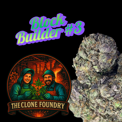 🌱 Block Builder #3