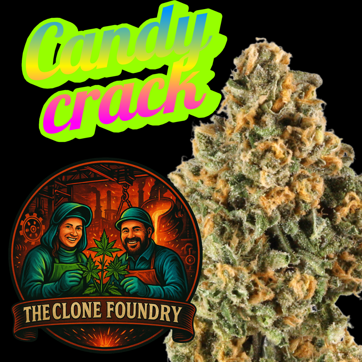 🌱 Candy Crack