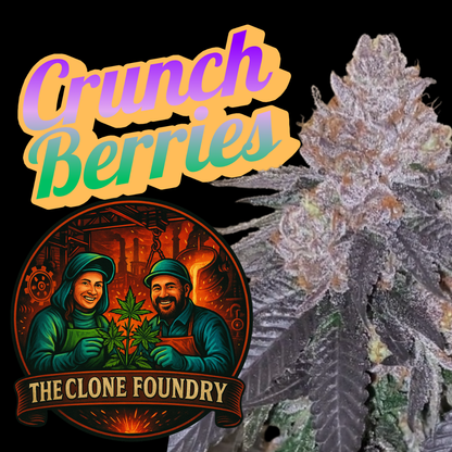 🌱 Crunch Berries