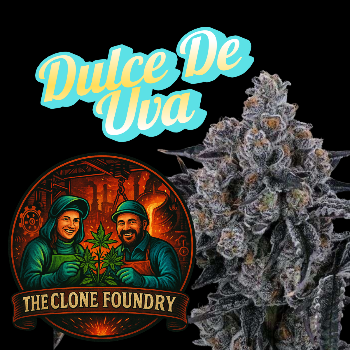 🌱 Dulce de Uva