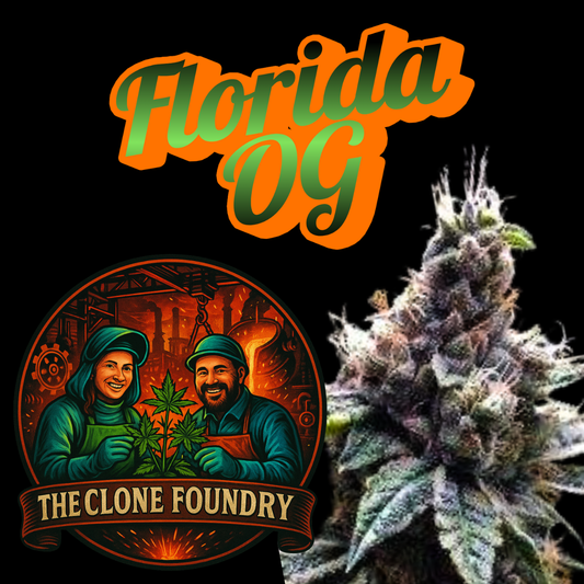 Florida OG