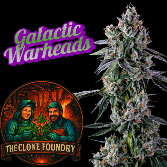 🌱 Galactic Warheads (Craft Farmer Breeder Cut)