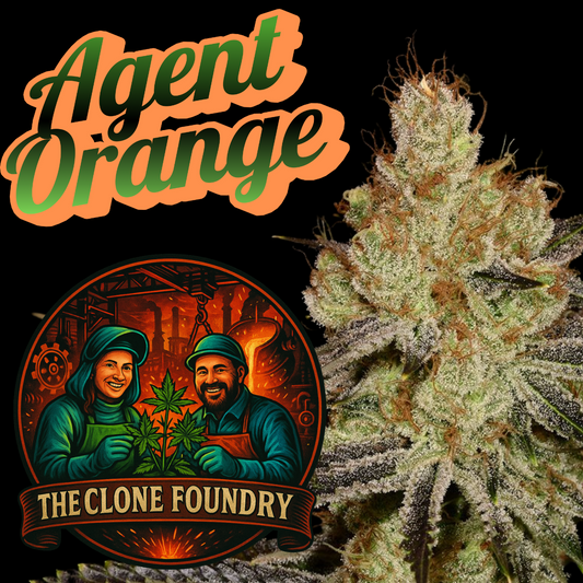 🌱 Agent Orange