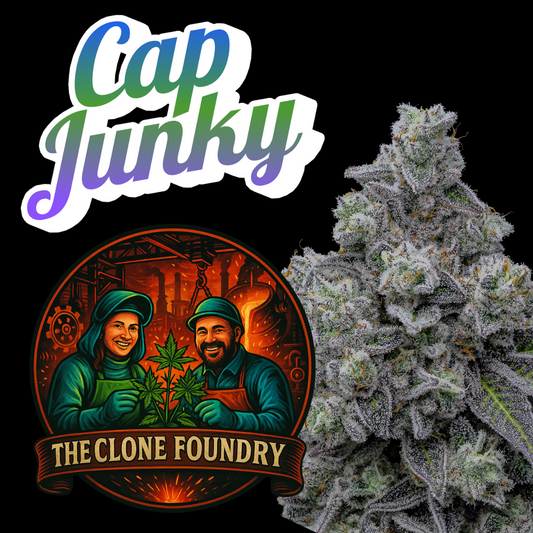 🌱 Cap Junky
