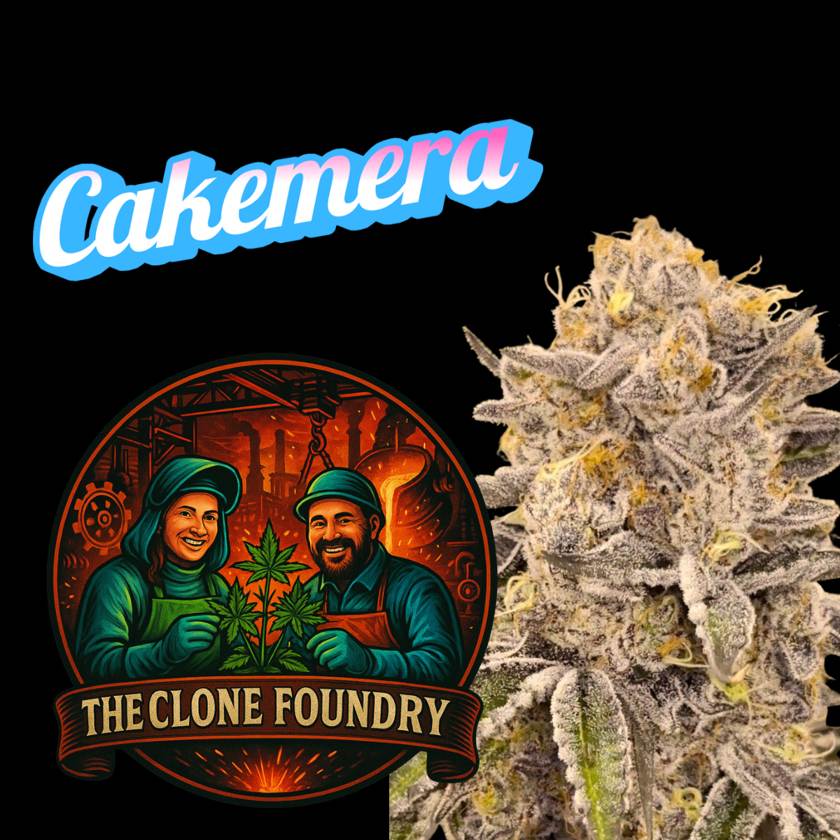 🌱 Cakemera
