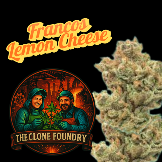 🌱 Franco’s Lemon Cheese