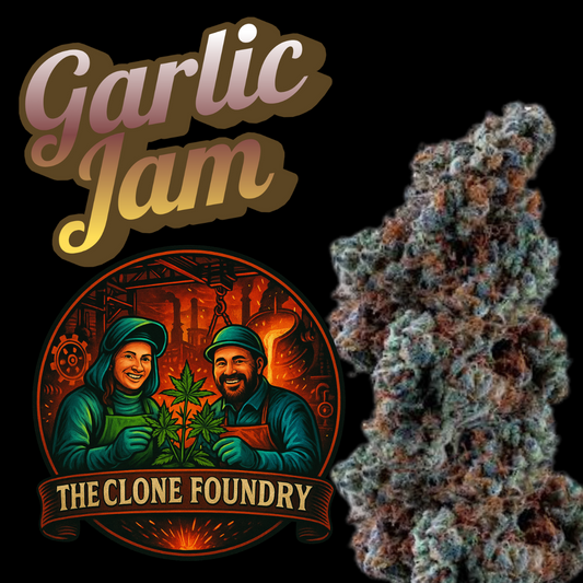 🌱 Garlic Jam