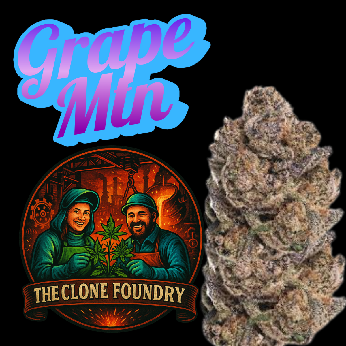 🌱 Grape MTN