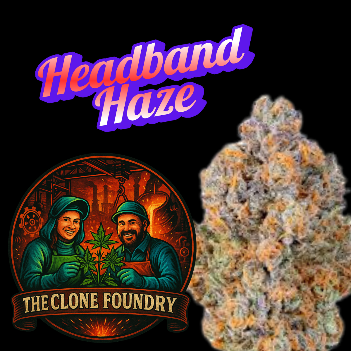 🌱 Headband Haze