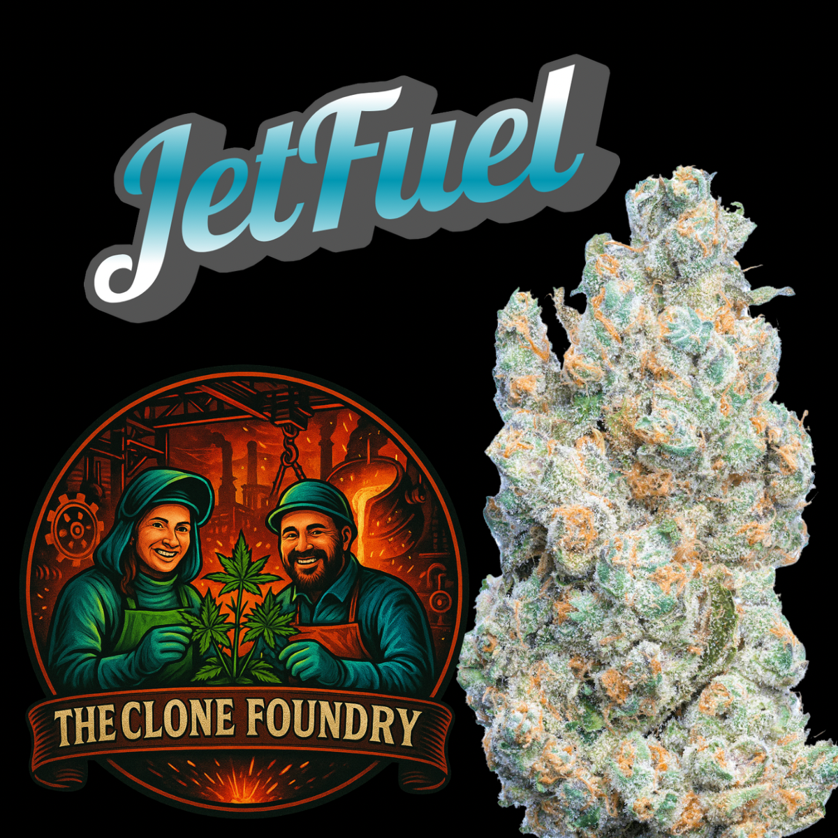 🌱 Jet Fuel