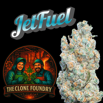 🌱 Jet Fuel