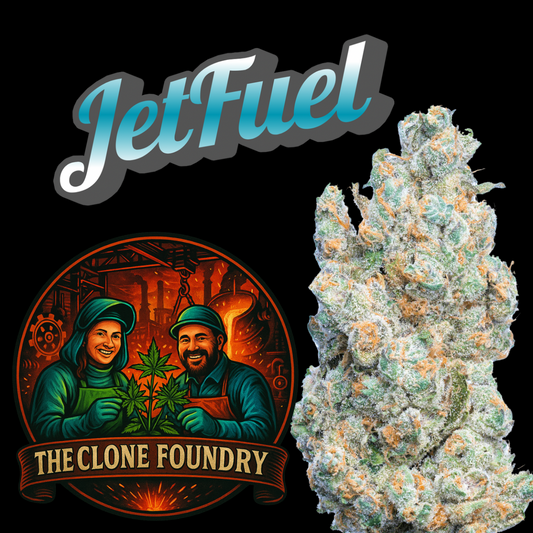 🌱 Jet Fuel