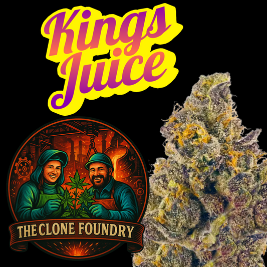 🌱 King’s Juice