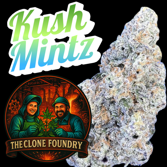 🌱 Kush Mintz