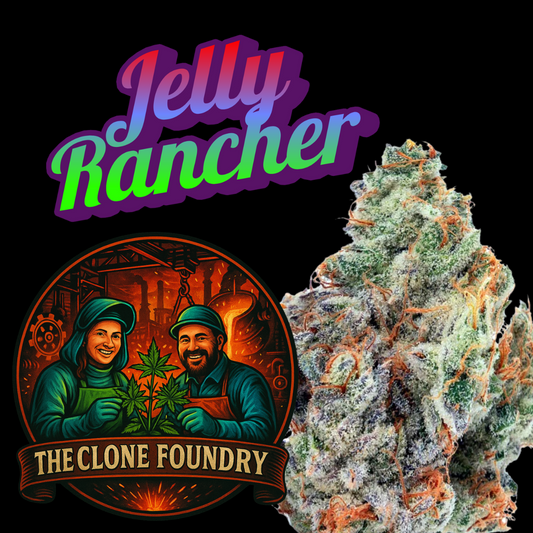 🌱 Jelly Rancher