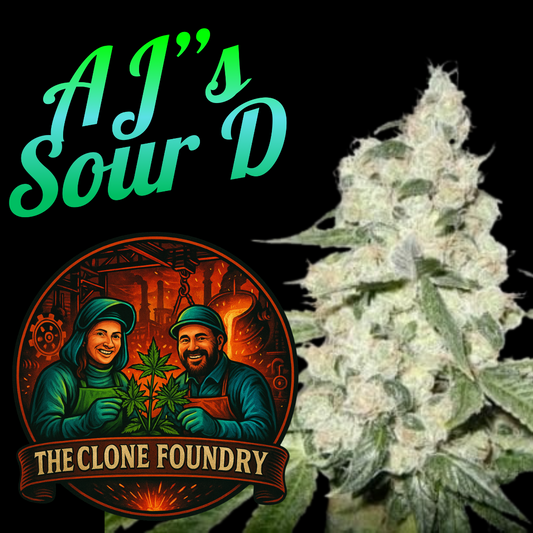 🌱 AJ’s Sour Diesel