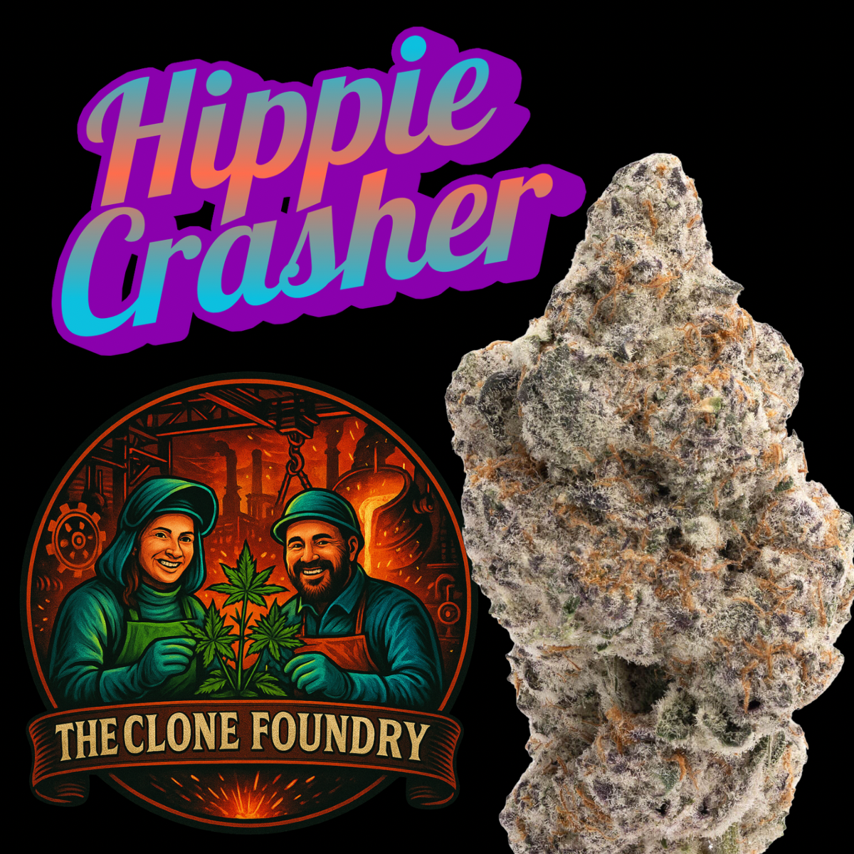 🌱 Hippie Crasher – The Clone Foundry