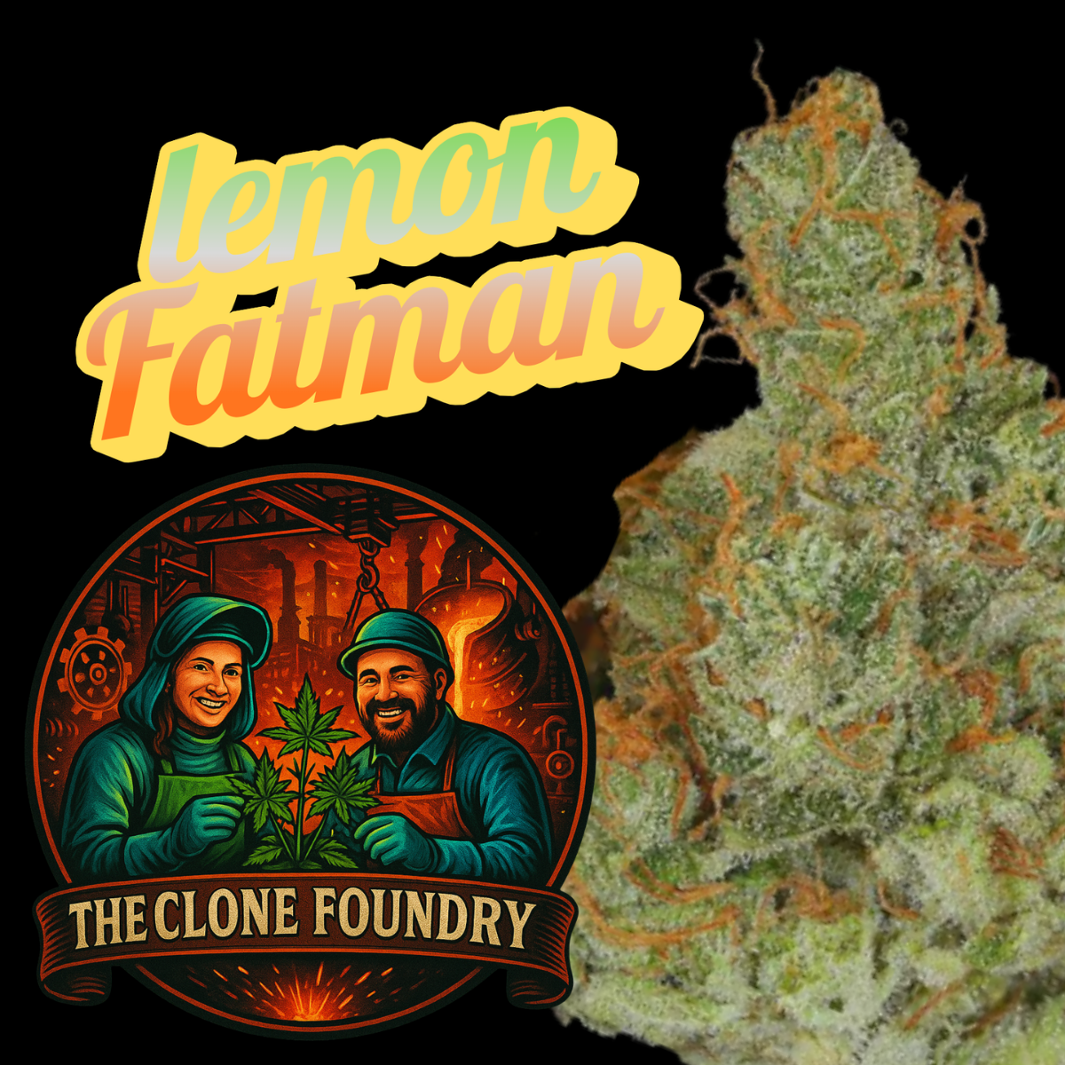 🌱 Lemon FatMan
