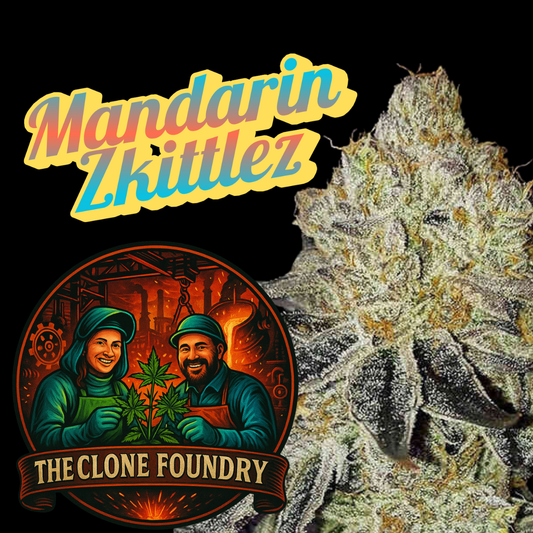 🌱 Mandarin Zkittlez
