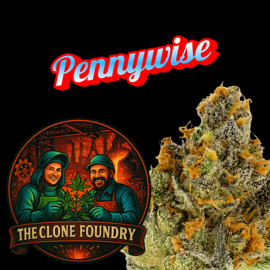 🌱 Pennywise