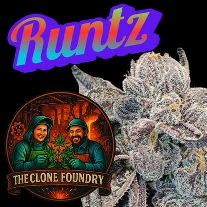 🌱 Runtz