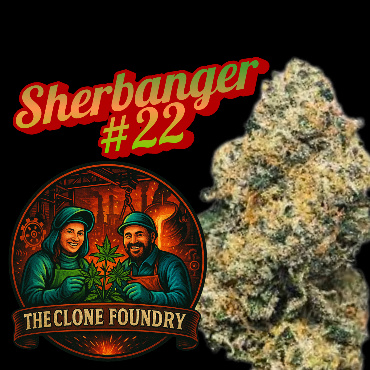 🌱 Sherbanger #22