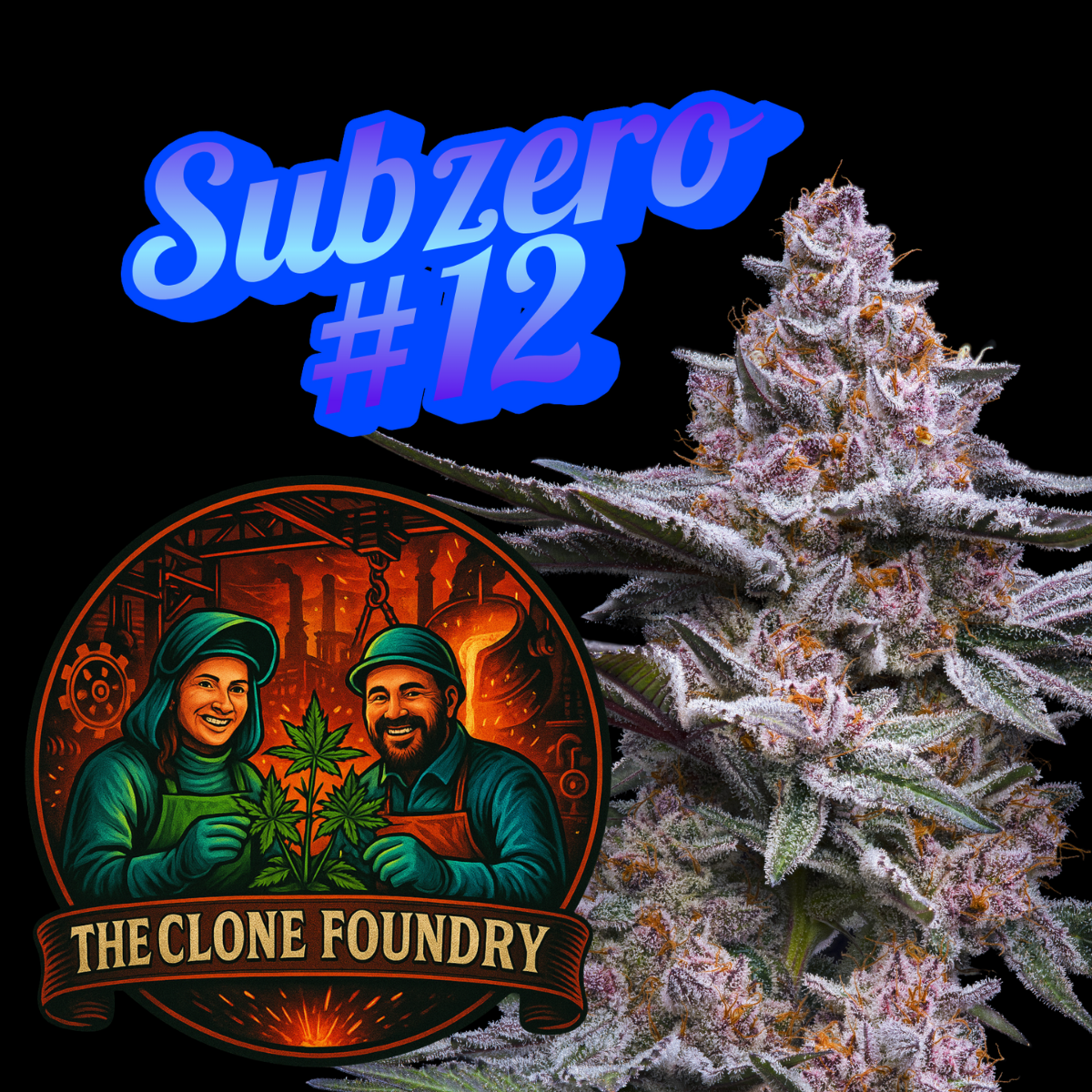 🌱 Sub Zero #12