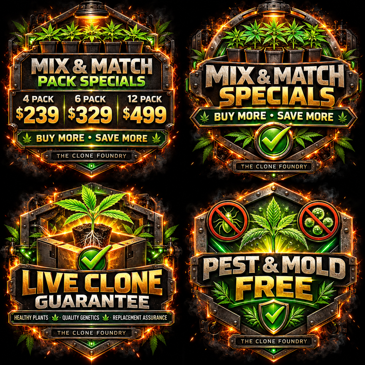 Mix & Match Pack Specials: 4, 6 and 12 packs. Buy more, save more.