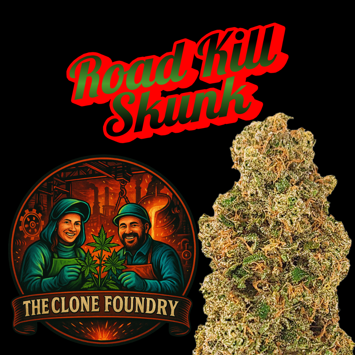 🌱 Roadkill Skunk