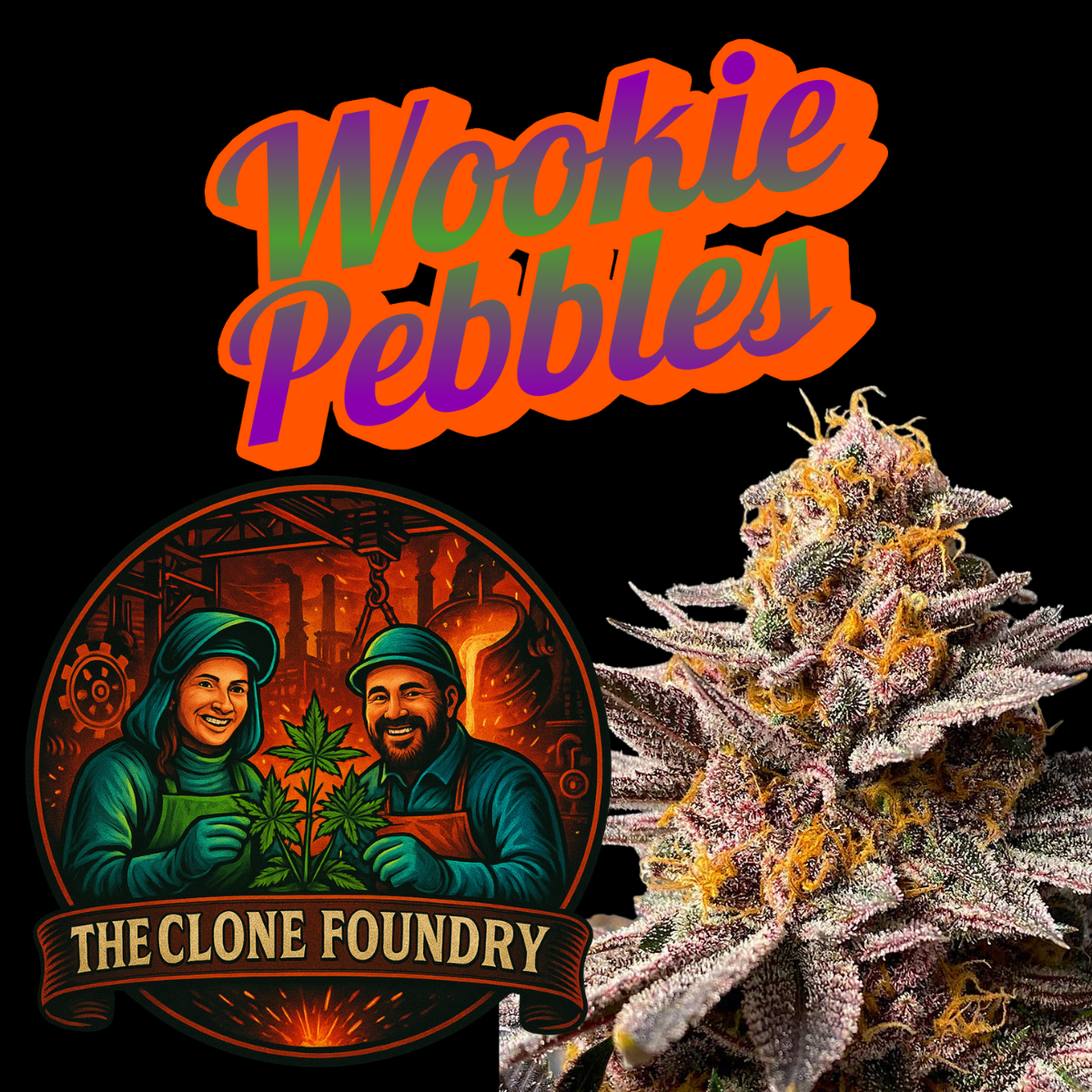 🌱 Wookie Pebbles