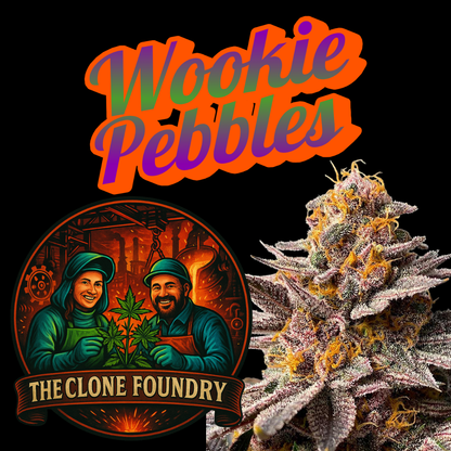 🌱 Wookie Pebbles